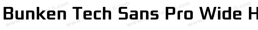Bunken Tech Sans Pro Wide Heav Reg字体转换
